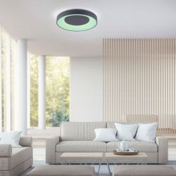 Lampa sufitowa plafon LOLA smart ANIKA LED RGB 48cm  Leuchten Direkt 14346-18 sterowany pilotem kolory , cena 640.00 zł #1