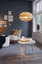 Lampa wisząca AMSFIELD Eglo 49771, cena 329.90 zł #1