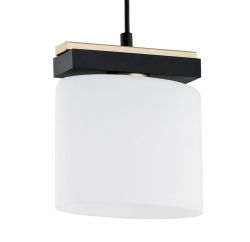 Lampa wisząca CANOA Argon 8276, cena 229.00 zł #1