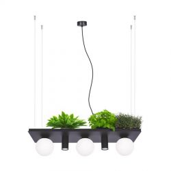 Lampa wisząca z półką na kwiaty PLANT Zuma Line 5555, cena 1099.00 zł #1