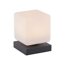 Lampka stołowa DADOA LED antracyt Paul Neuhaus 4036-13 na dotyk, cena 229.00 zł