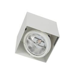 oprawa-plaza-white-ar111-led-milagro-ml4743.jpg