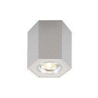 Oprawa POLYGON CL R Zuma Line 20077-AL