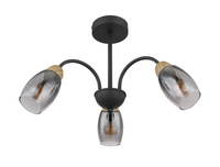 Lampa sufitowa GERLY Globo 60297-3D