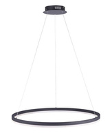 Lampa wisząca TITUS LED 80cm Paul Neuhaus 2383-13 ze ściemniaczem